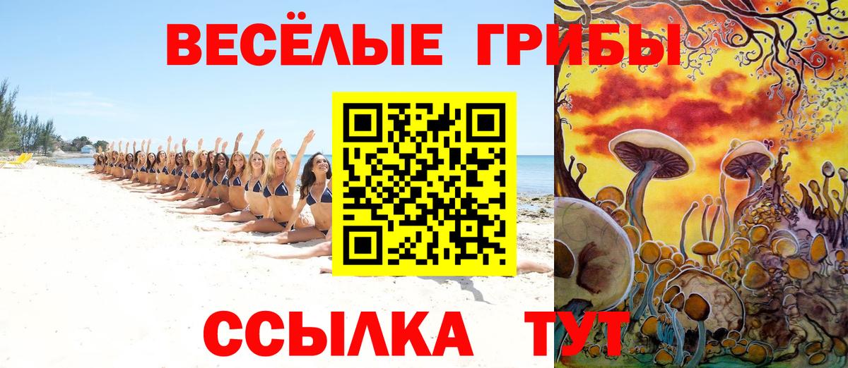Симферополь  Псилоцибиновые грибы мицелий  Вход с VPN  Галлюциногенные грибы ЛСД 